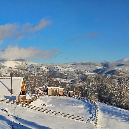 Cabana Lupul Din Apuseni Matisesti ภายนอก รูปภาพ