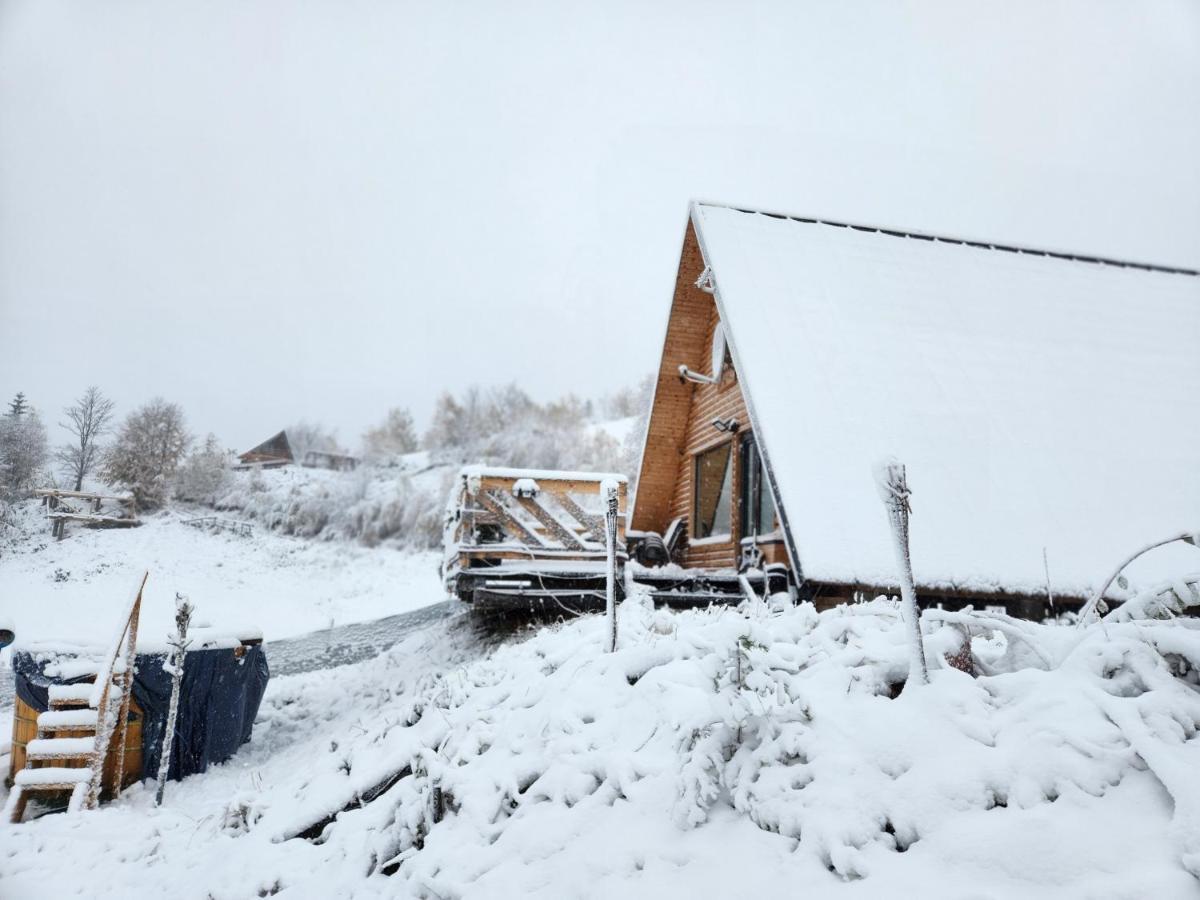 Cabana Lupul Din Apuseni Matisesti ภายนอก รูปภาพ