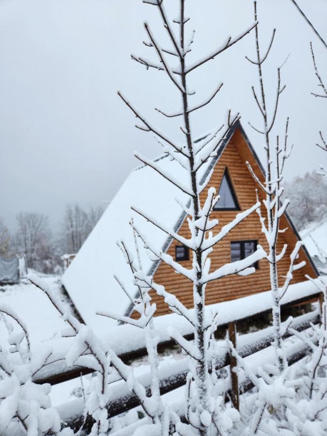 Cabana Lupul Din Apuseni Matisesti ภายนอก รูปภาพ